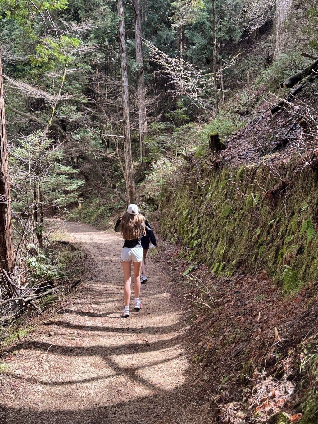 Nakasendo Trail