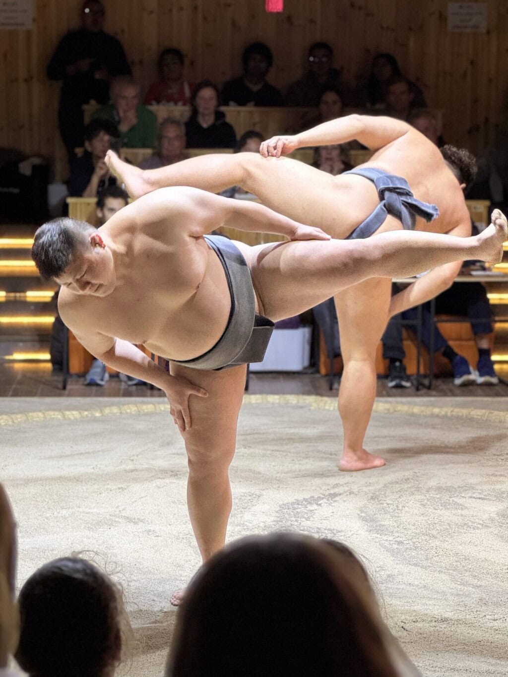 Asakusa Sumo Show