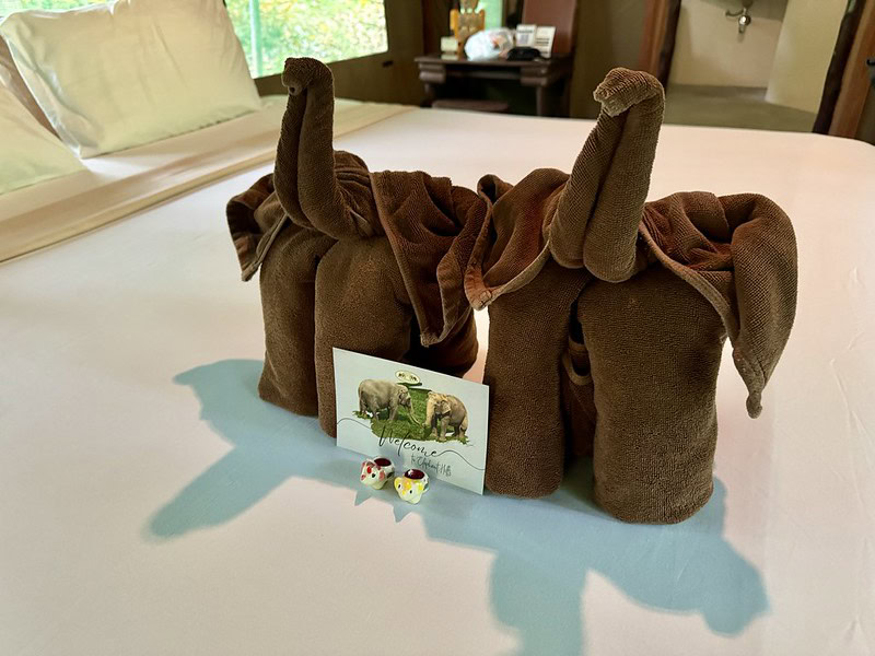 Elephant Hills, Thailand | Review