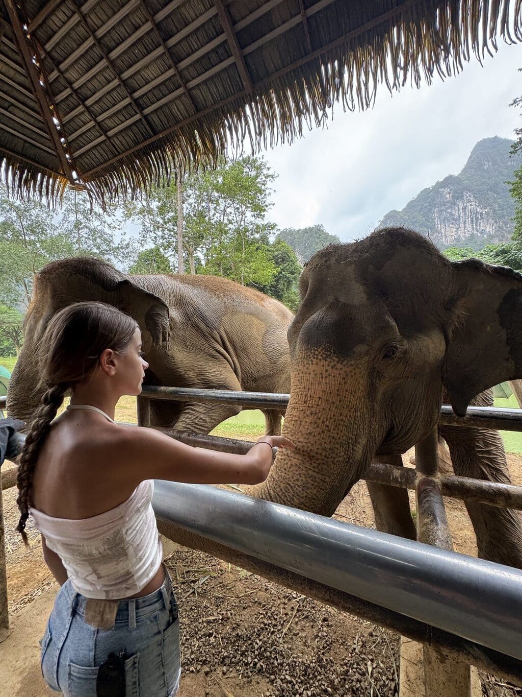 Elephant Hills, Thailand | Review
