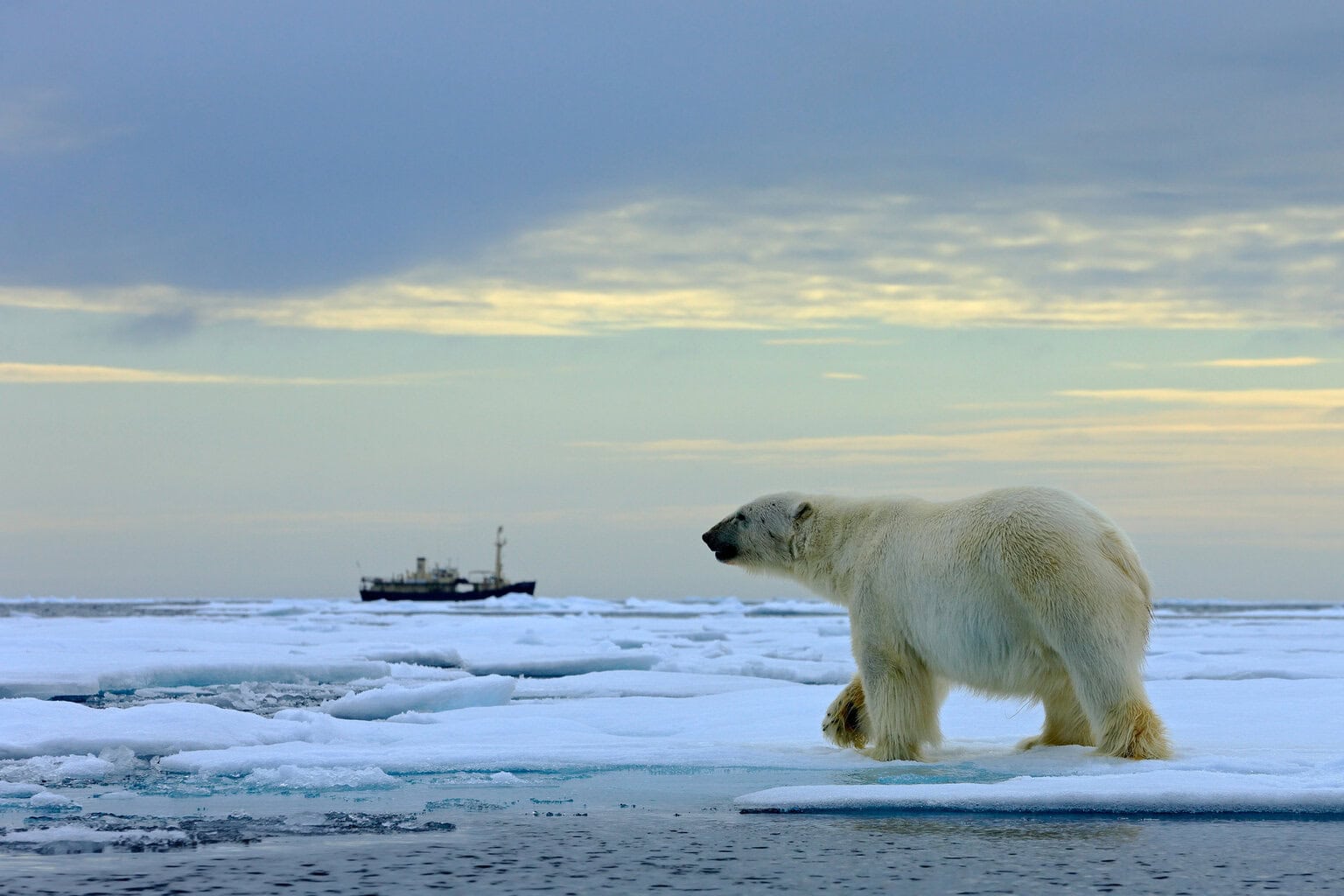 Why Your Kids Will Never Forget an Arctic Cruise to Svalbard