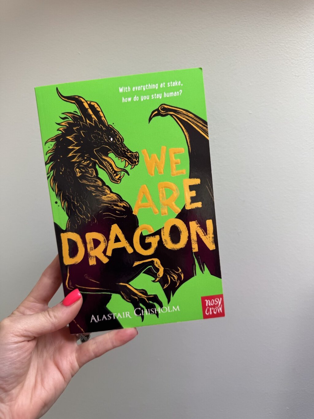 Diary of a Dreadful Dragon - Ben Miller