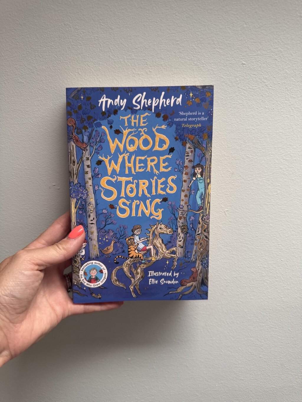 The Wood Where Stories Sing - Andy Shepherd (author), Ellie Snowden (illustrator), Piccadilly Press (imprint of Bonnier Books) (publisher)