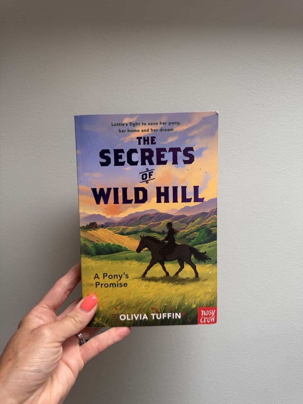 The Secrets of Wild Hill - A Pony’s Promise -