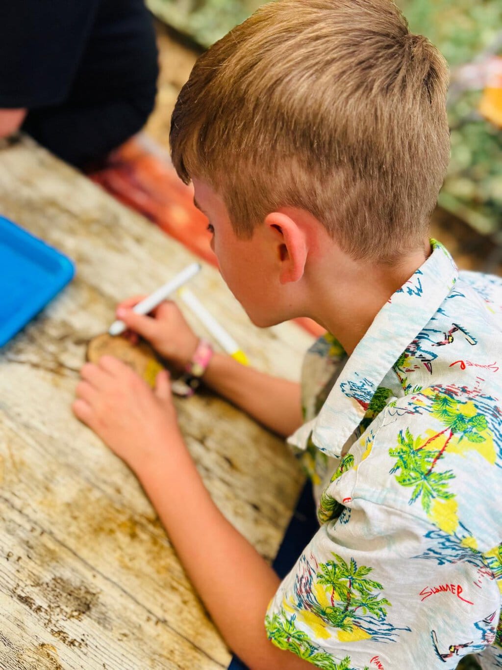 Latitude Festival 2026 - A Festival That Grows Up With You